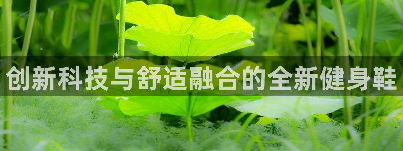 龙8国际龙8客户端