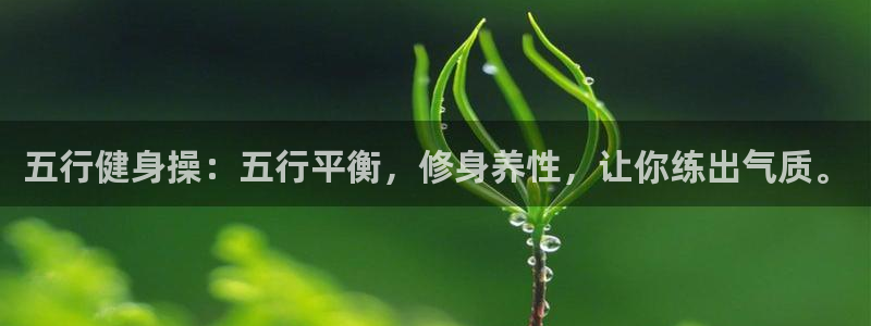 龙8国际pt官网