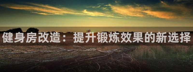 龙 八国际