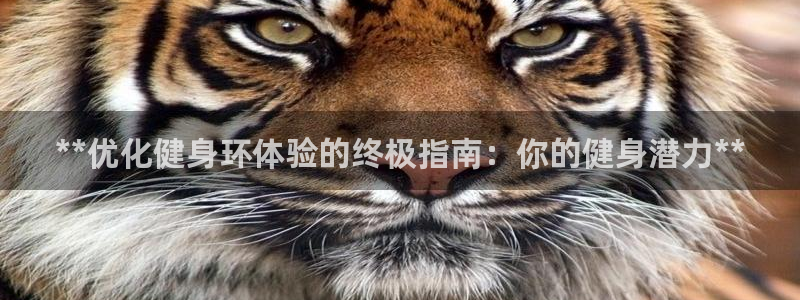 龙8国际龙8客户端