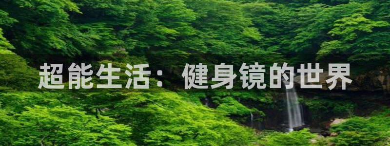 龙8官网手机登入口