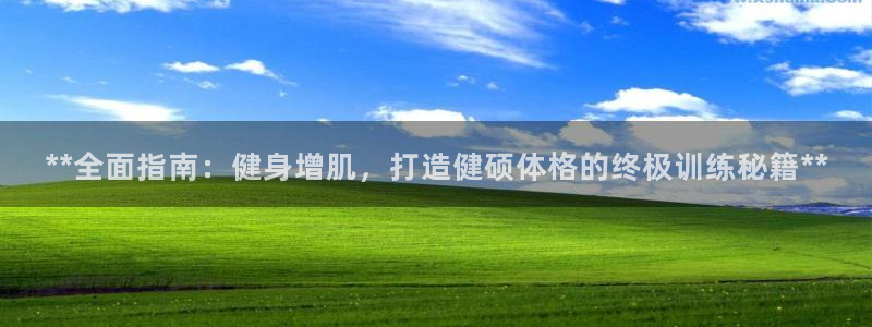 龙8app 国际