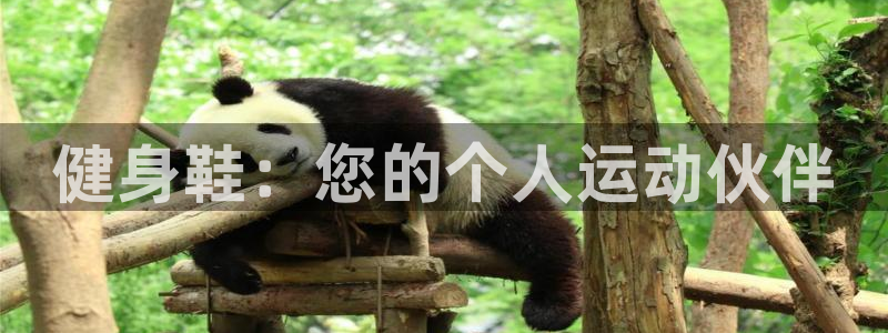 龙8国际免费试玩