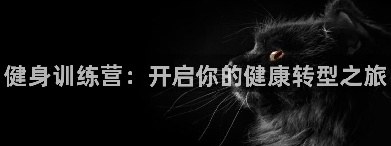 龙8国际官网版