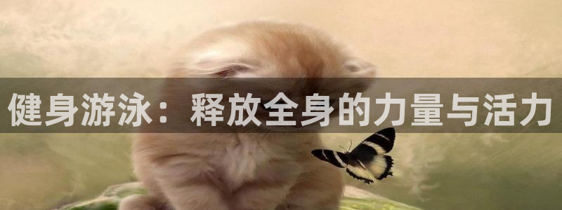 龙8国际平台
