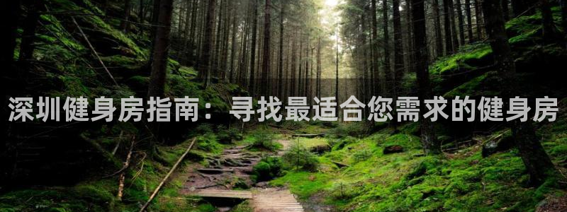 国际龙8官网pt客户端下载