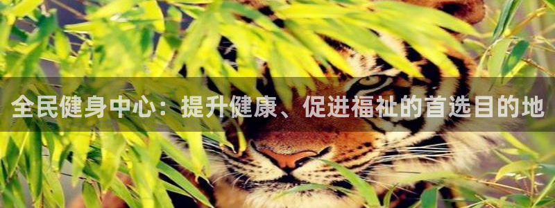 龙8国际电玩城