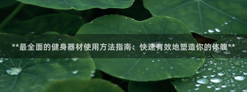 龙八国际娱乐官网下载