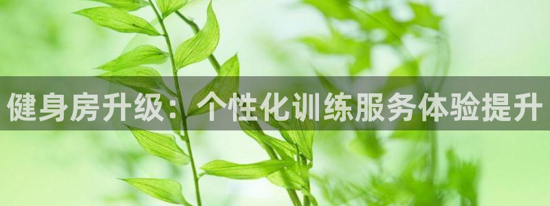 龙8国际long8官方版下载