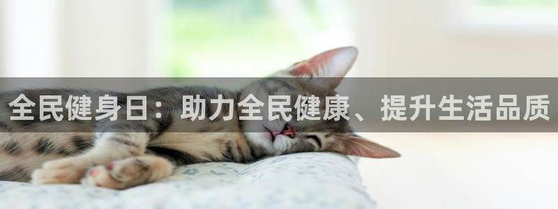 龙8游戏官方网站s