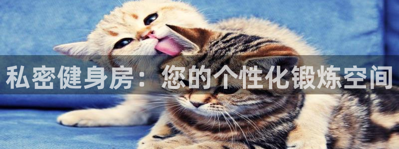 龙8国际网站怎么样