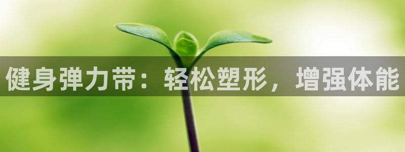 龙8国际2020官方网站