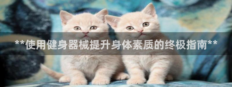 龙8国际头号玩家
