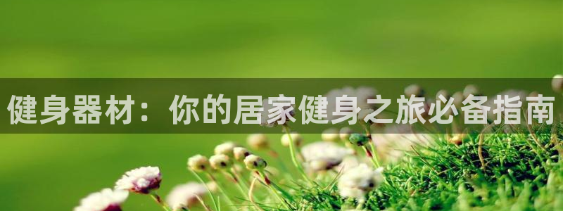 龙8国际游戏公司官网