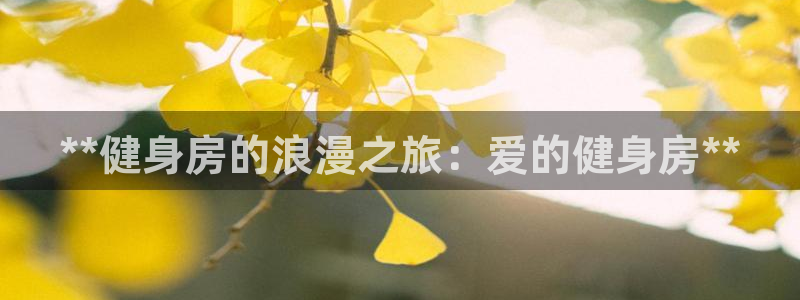龙8国际官网