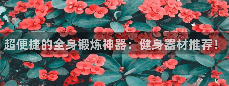 龙8国际pt