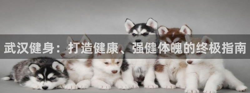 龙8官网手机登入口