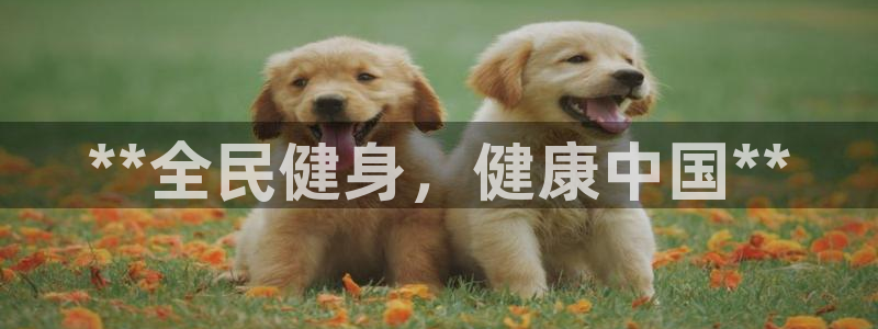 龙8国际官网app下载旧