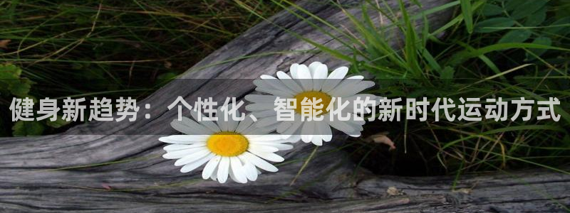 龙八棋牌