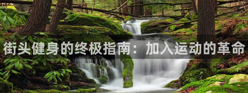 龙8国际手机官网下载安装