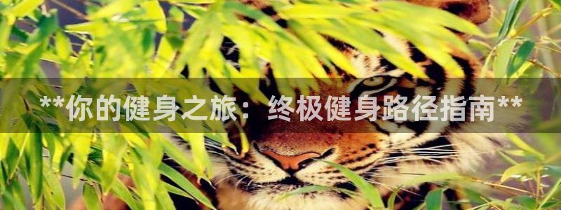 龙8国际网页登陆