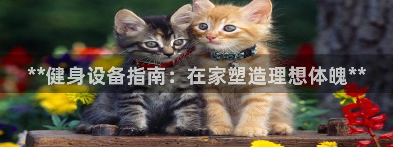 龙8国际正规吗