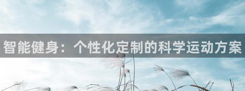 龙8国际的漏洞