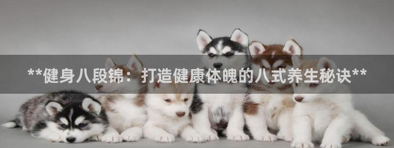 龙8国际线上