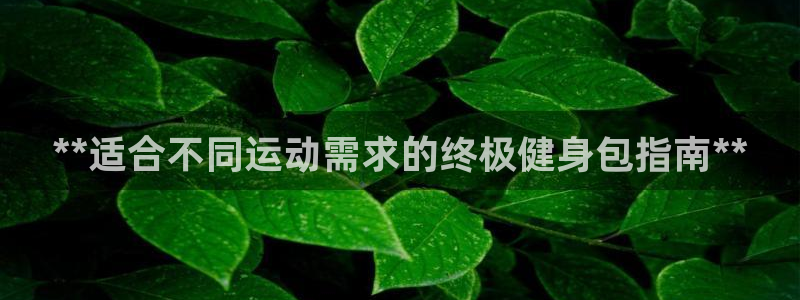 龙八国际娱乐网页多少