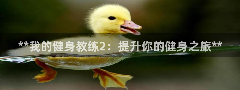 龙8国际pt官网