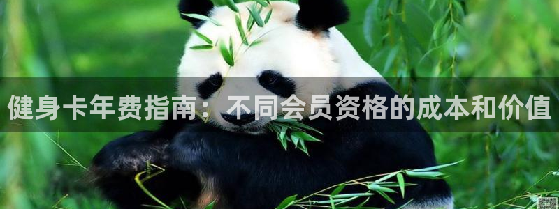 龙8国际app客户端下载