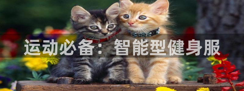 龙8游戏平台官方网站是多少