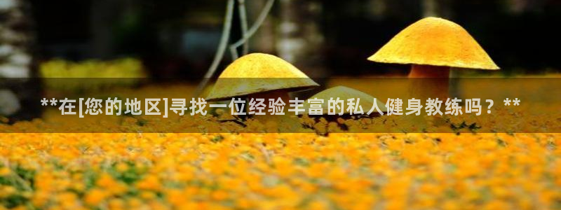 龙8棋牌平台