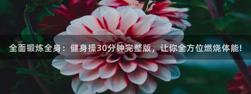 龙8国际试玩