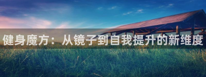 龙八国际pt