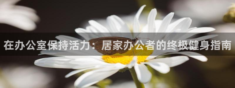 龙八国际娱乐在线游戏
