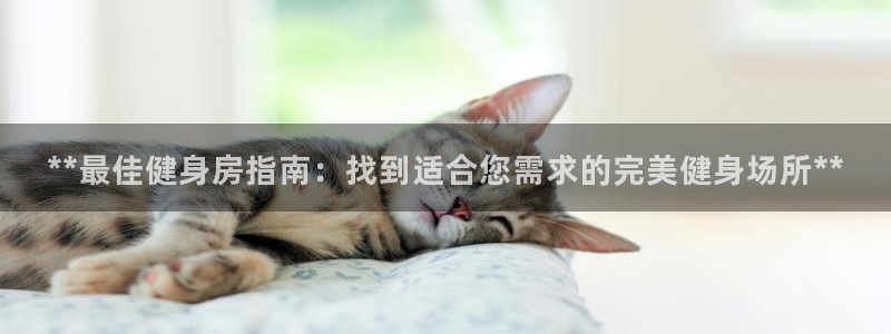 下载龙八国际官网