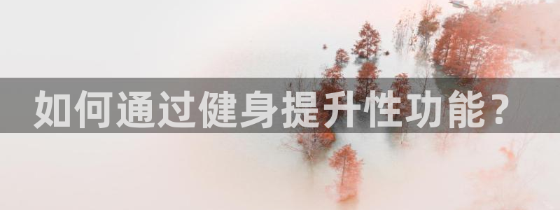 龙8国际电子平台