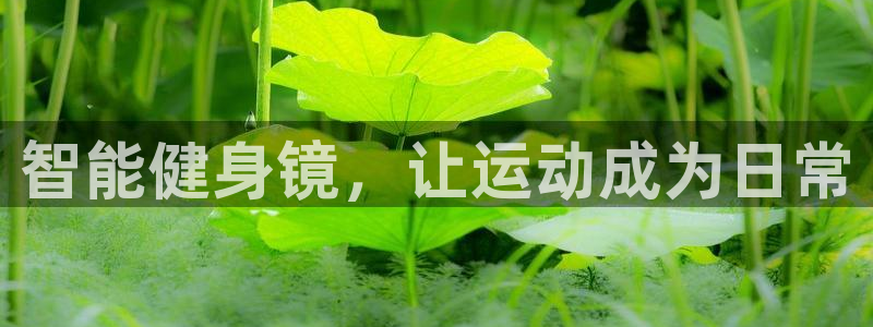 龙八国际服官网入口