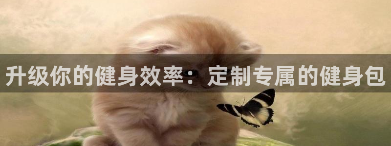 龙8国际手机版官网