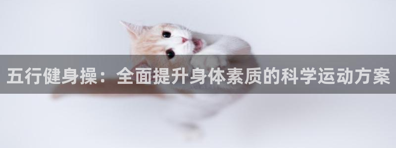 国际龙8官方网站
