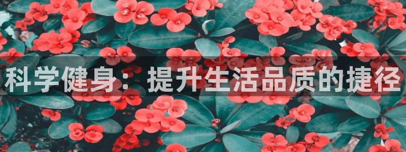 龙八国际app客户端下载