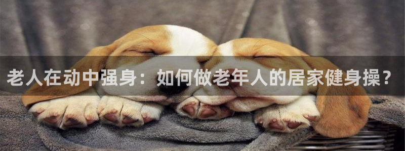 龙8国际头号玩家