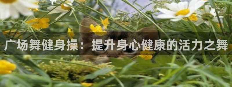 龙八国际唯一官网