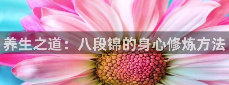 龙八国际娱乐在线游戏