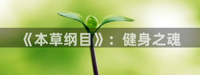 龙8国际服