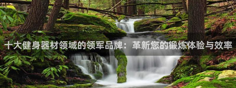 龙8国际long123