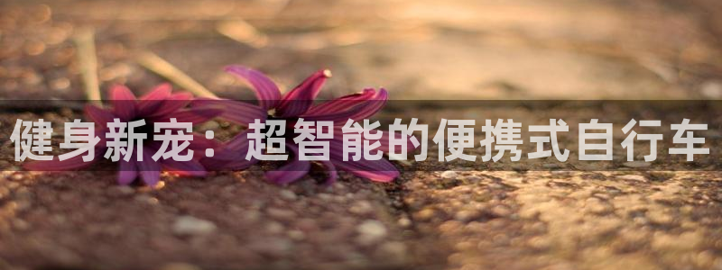龙8国际游戏官方进入的介绍