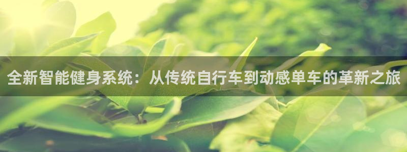 龙八国际城
