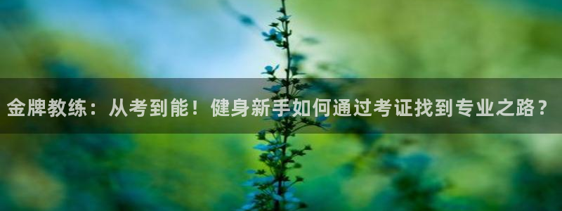龙8游戏网站